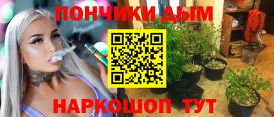 дурь Сланцы