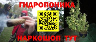 сатива Гусев