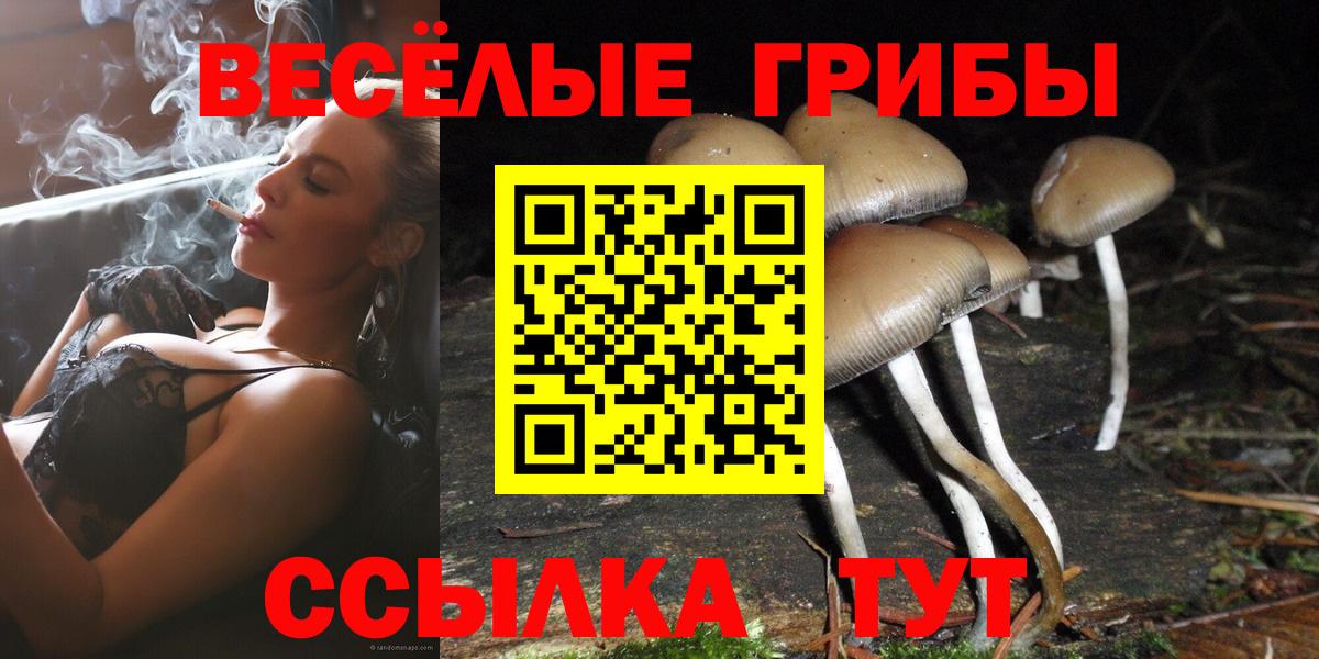 Псилоцибиновые грибы прущие грибы  Галлюциногенные грибы GOLDEN TEACHER  Вход с VPN  дарнет шоп  Назарово 